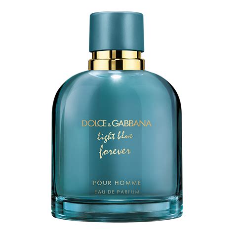 eau de toilette dolce gabbana homme|dolce gabbana parfum pour homme.